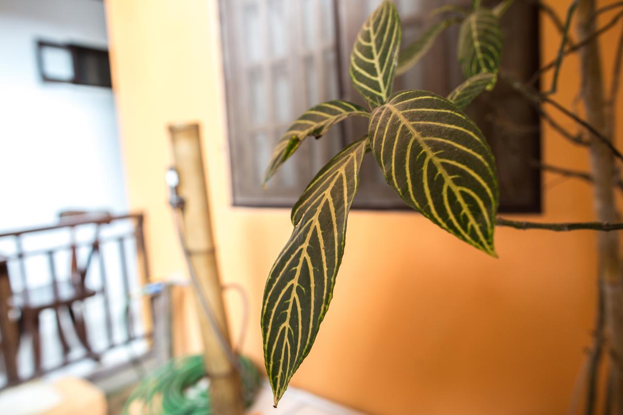 布尔斯卡姆酒店 爱妮岛 外观 照片